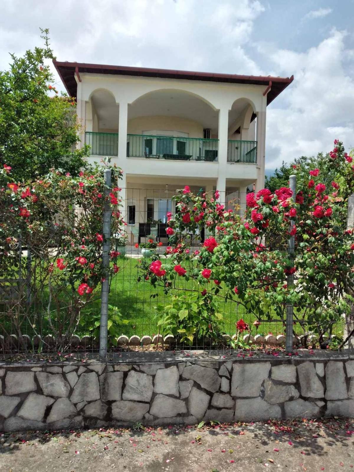 Villa Jenny Leptokarya  Exterior photo